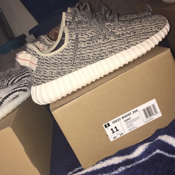 Yeezy Turtle Doves - Picture 2 of 8